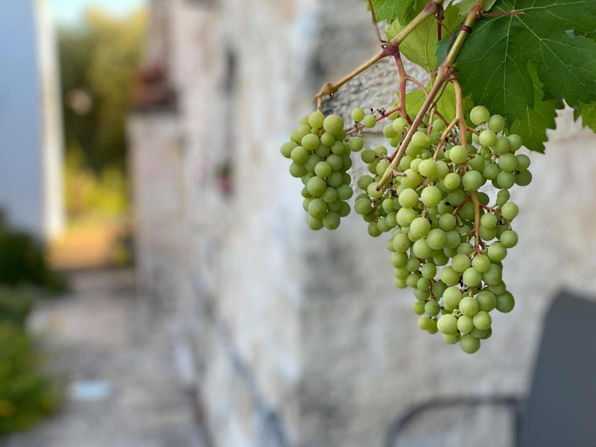 Il Palmento Hotel Relais Locorotondo Zewnętrze zdjęcie